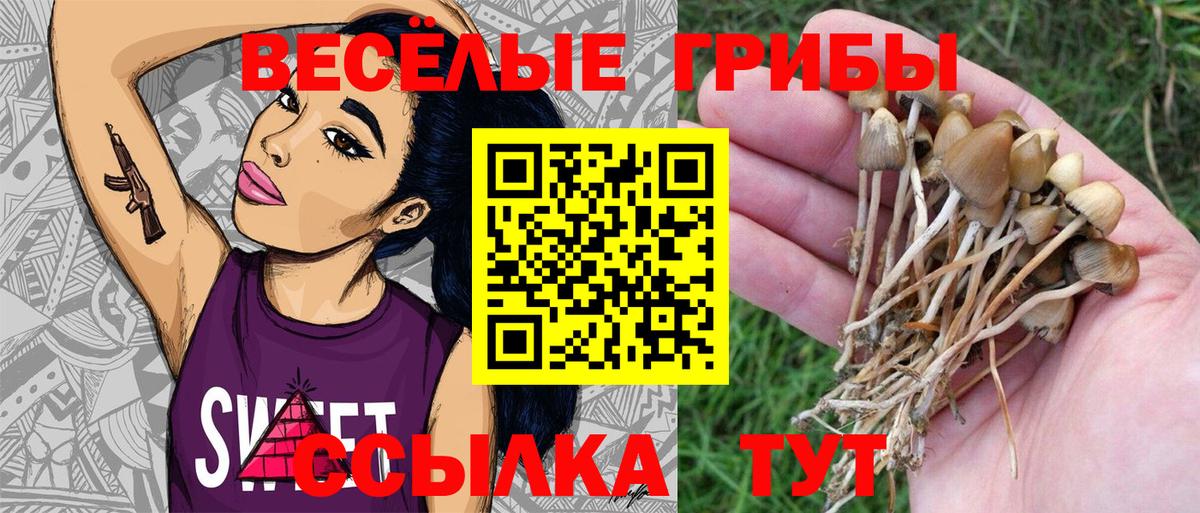 Псилоцибиновые грибы мухоморы Октябрьский